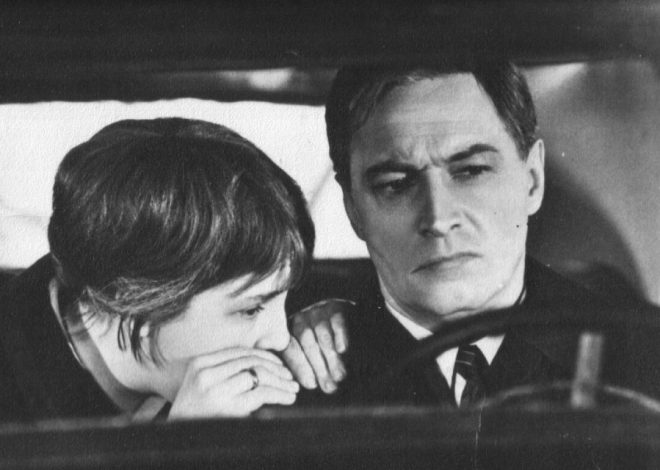 Курьёзы и ошибки допущенные в фильме «Семнадцать мгновений весны»