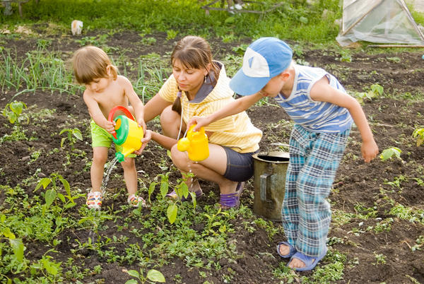 Как вовлечь детей в садоводство