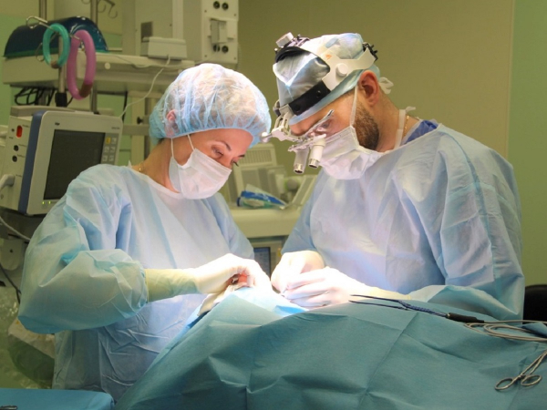 Петербург: 15-летний подросток погиб от разрыва желудка после колы с «Ментосом»