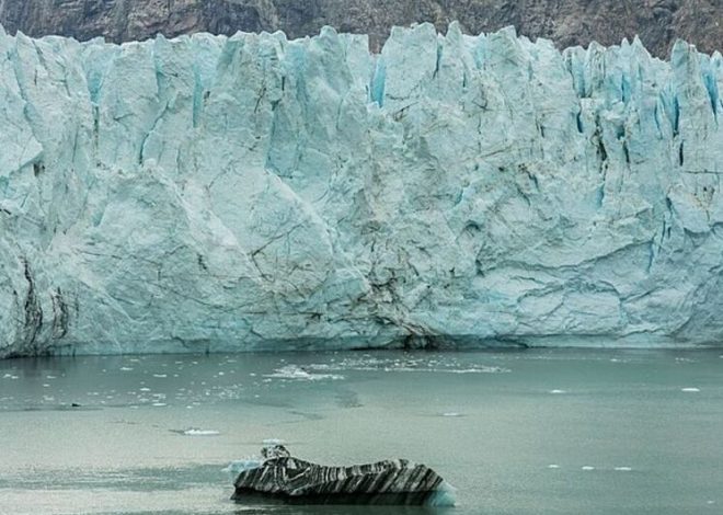 Неожиданное открытие жизни в суровых условиях Арктики, под ледяным покровом, поставило ученых в тупик
