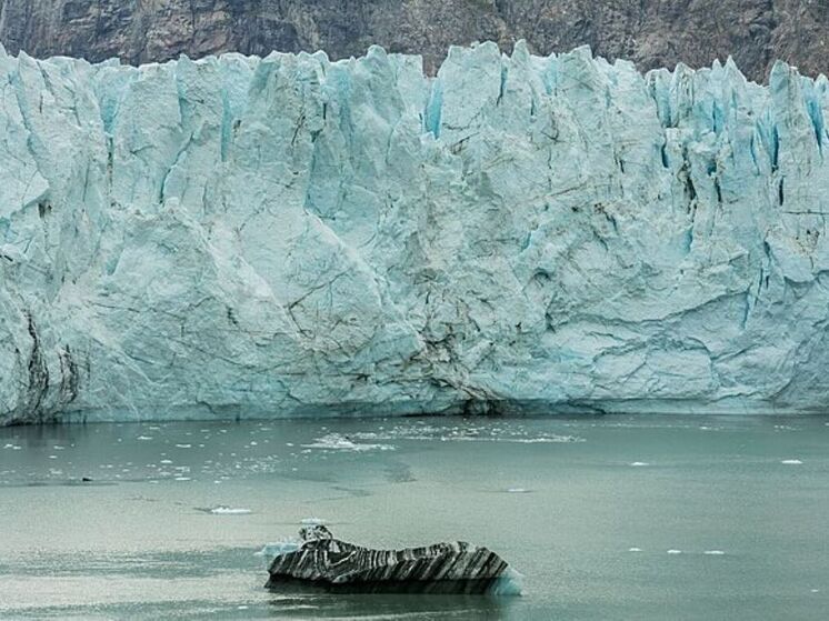 Неожиданное открытие жизни в суровых условиях Арктики, под ледяным покровом, поставило ученых в тупик