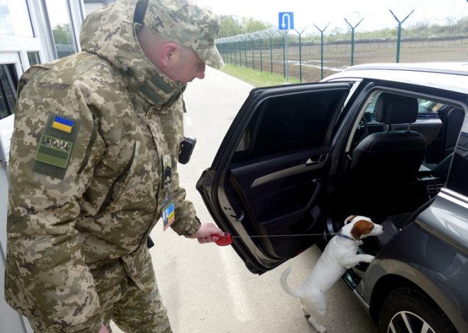 Дезертиры тысячами: что происходит на границе в связи с массовым исходом из ВСУ, включая попытки пересечения границы