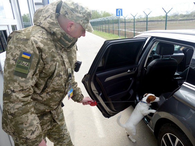 Дезертиры тысячами: что происходит на границе в связи с массовым исходом из ВСУ, включая попытки пересечения границы