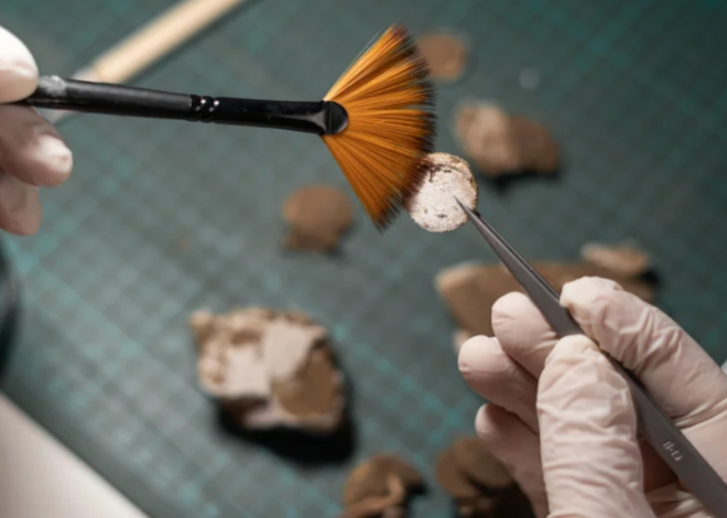 На территории Казахстана обнаружен древний город эпохи бронзы, отличавшийся развитой металлургией