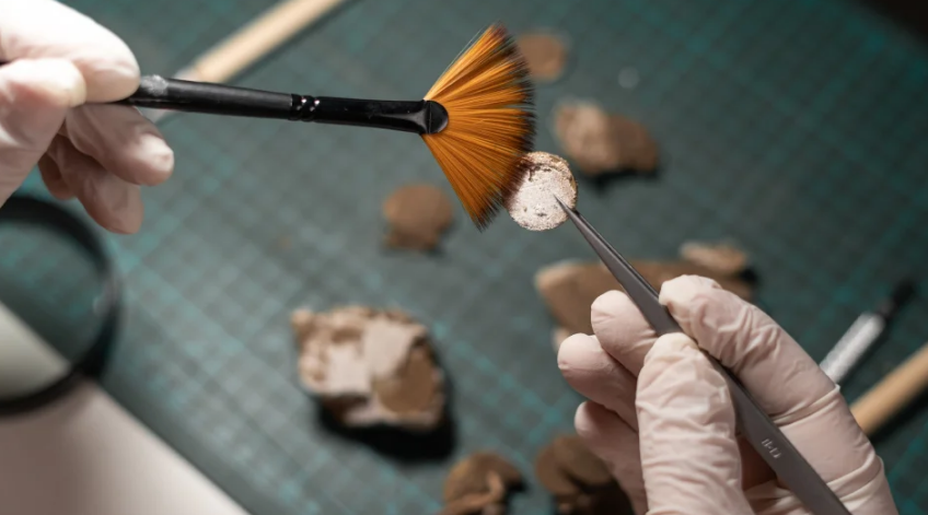 На территории Казахстана обнаружен древний город эпохи бронзы, отличавшийся развитой металлургией