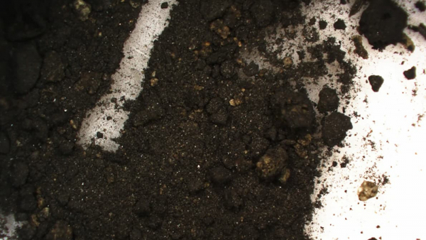 Найдена 2000-летняя чернильница с остатками &laquo;невозможных&raquo; чернил - Наука: новости и видео2