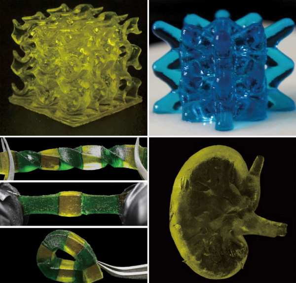 От искусственных органов до аккумуляторов: создан прорывной полимер для 3D-печати - Наука: новости и видео1