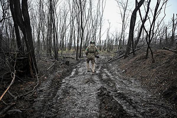 В прессе появилась информация об ограничении, принятом Киевом для своих вооруженных сил