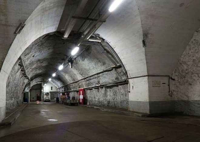 Огромная коллекция книг, спрятанная в бункере, должна помочь человечеству пережить конец света