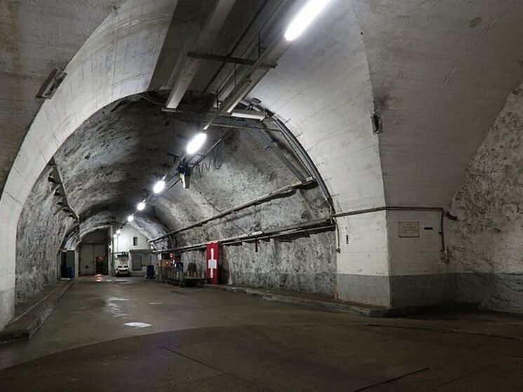 Огромная коллекция книг, спрятанная в бункере, должна помочь человечеству пережить конец света