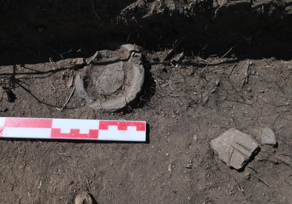 В казахской степи нашли город бронзового века с металлургической промышленностью - Наука: новости и видео4