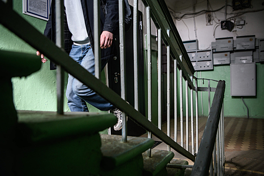 В столице введены ограничительные меры в связи с выявлением бешенства