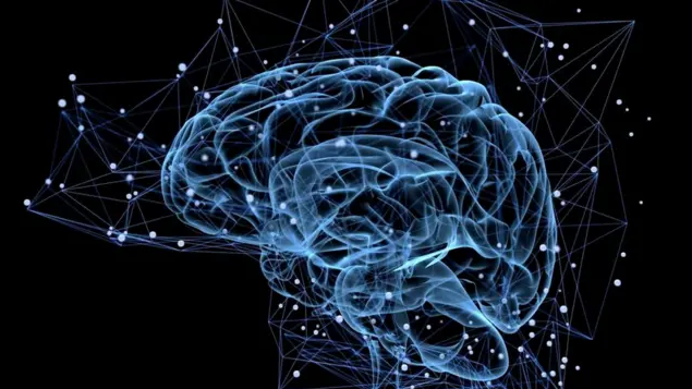 Исследователи обнаружили в мозге специфические нейронные паттерны