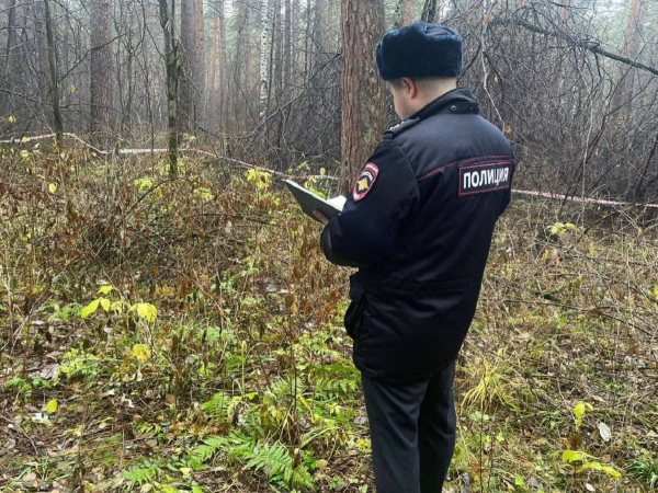 «Зря я тебя не утопила в унитазе»: на Урале сын озвучил, за что отрезал матери голову