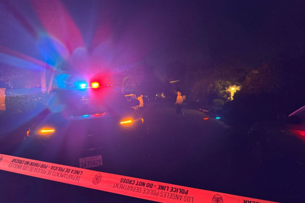 Famed director Rob Reiner, wife Michele stabbed to death in LA home, son eyed as person of interest: sources5