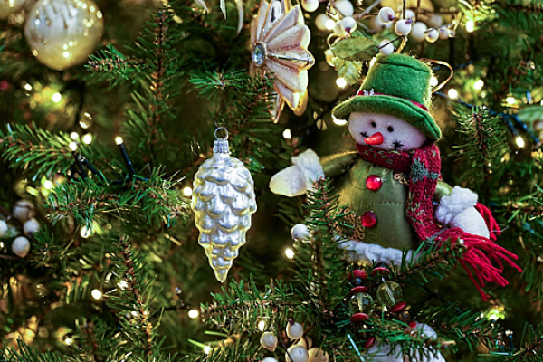 Людей в России предупредили: рубить елки без разрешения нельзя, накажут