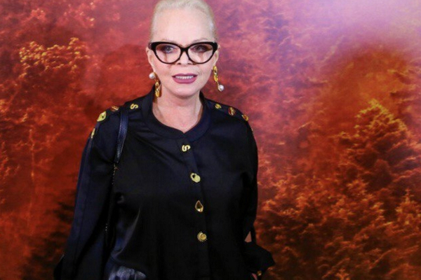 Верховный суд России прокомментировал ситуацию с певицей Долиной