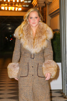 Why Amy Schumer and Chris Fischer split: 'This was a long time coming'6