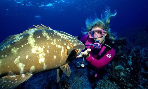 Самые экстремальные виды спорта