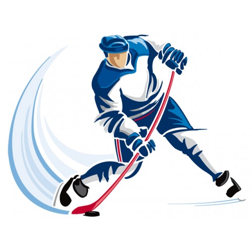 Хоккей популярный вид спорта