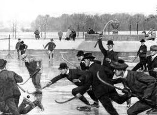 Хоккей популярный вид спорта