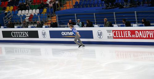 Тренерство и судейство фигурного катания
