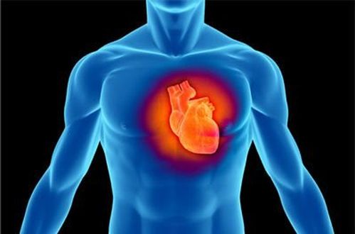 Физические нагрузки очень полезны для сердца