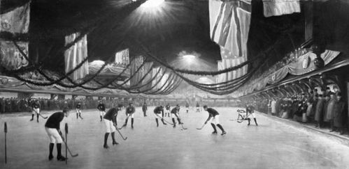 Немного истории и правила Хоккея