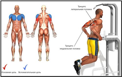Как правильно подтягиваться на одной руке?