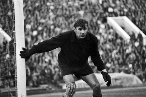 Самый лучший вратарь