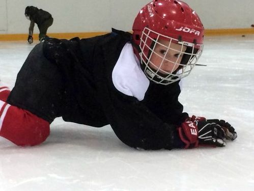 Как играть в хоккей