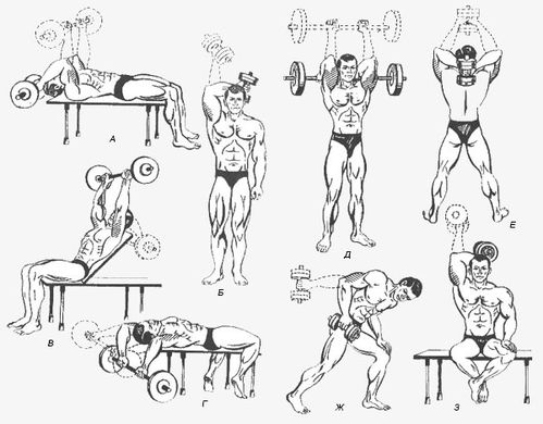 10 правил для роста мышц