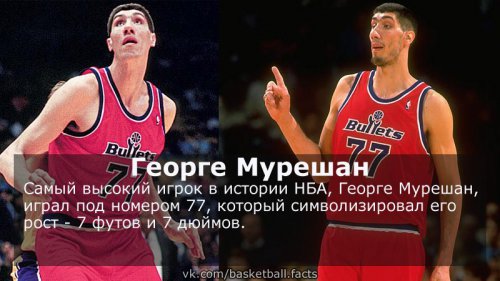 Самый высокий баскетболист