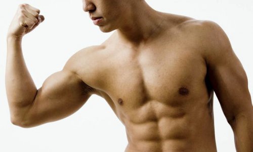 10 правил для роста мышц