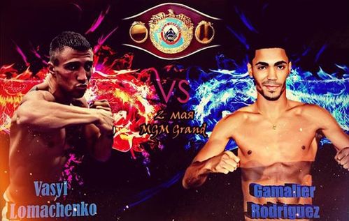 Василий Ломаченко (Украина) - Гамальер Родригес (Пуэрто-Рико) 2 мая 2015