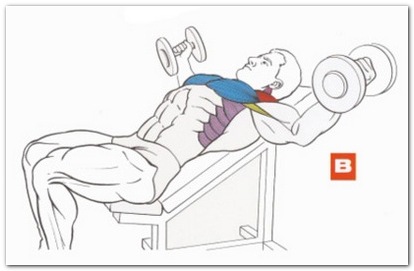 Изолированное разведение гантелей двумя руками