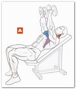 Изолированное разведение гантелей двумя руками