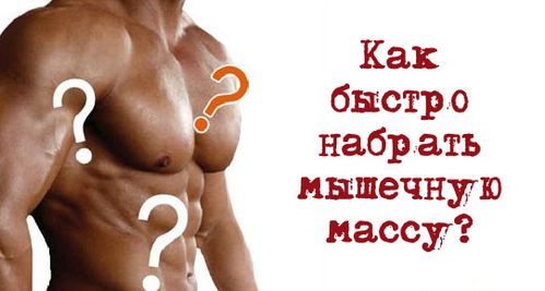 Как быстро набрать вес? Как быстро набрать вес?