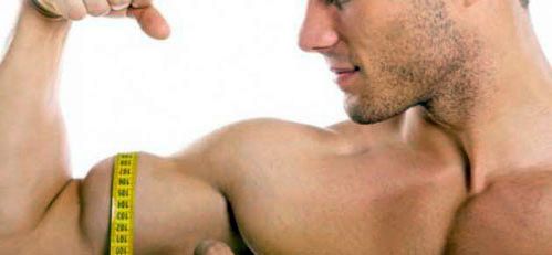 Когда растут мышцы?