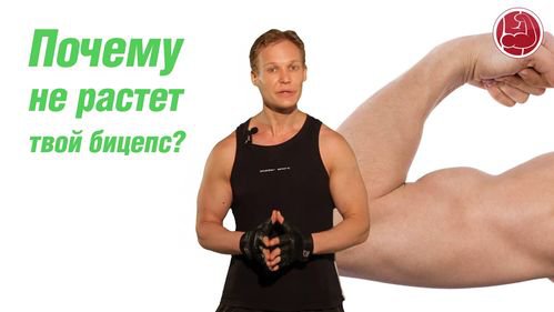 Большие руки - что делать когда бицепсы не растут