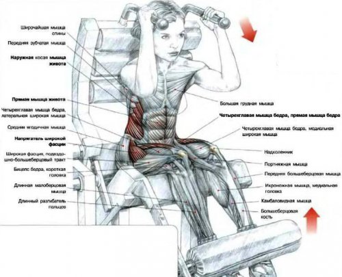 Упражнение скручивание