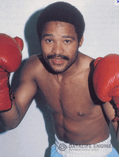 Чемпион мира по боксу