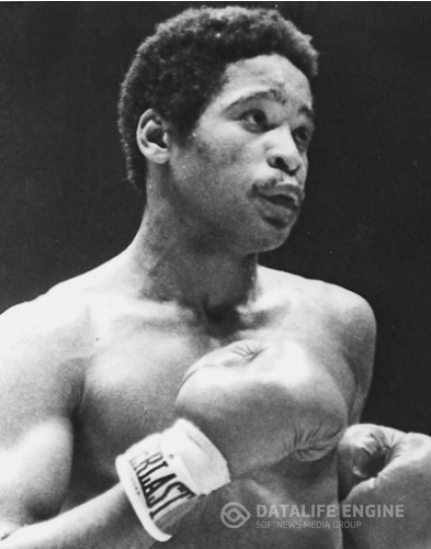 Чемпион мира по боксу