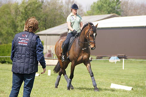 Обучение верховой езде