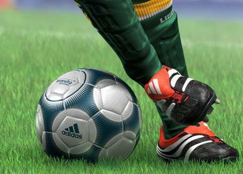 Самый популярный вид спорта