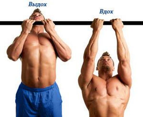 Упражнения на турнике Упражнения на турнике