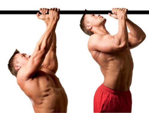 Упражнения на турнике Упражнения на турнике