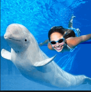 Обучение плаванию