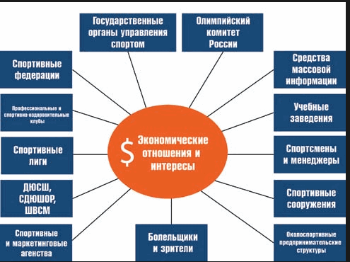 Индустрия спорта