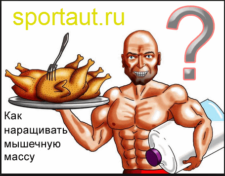 Ключ к успеху в наращивании мышечной массы